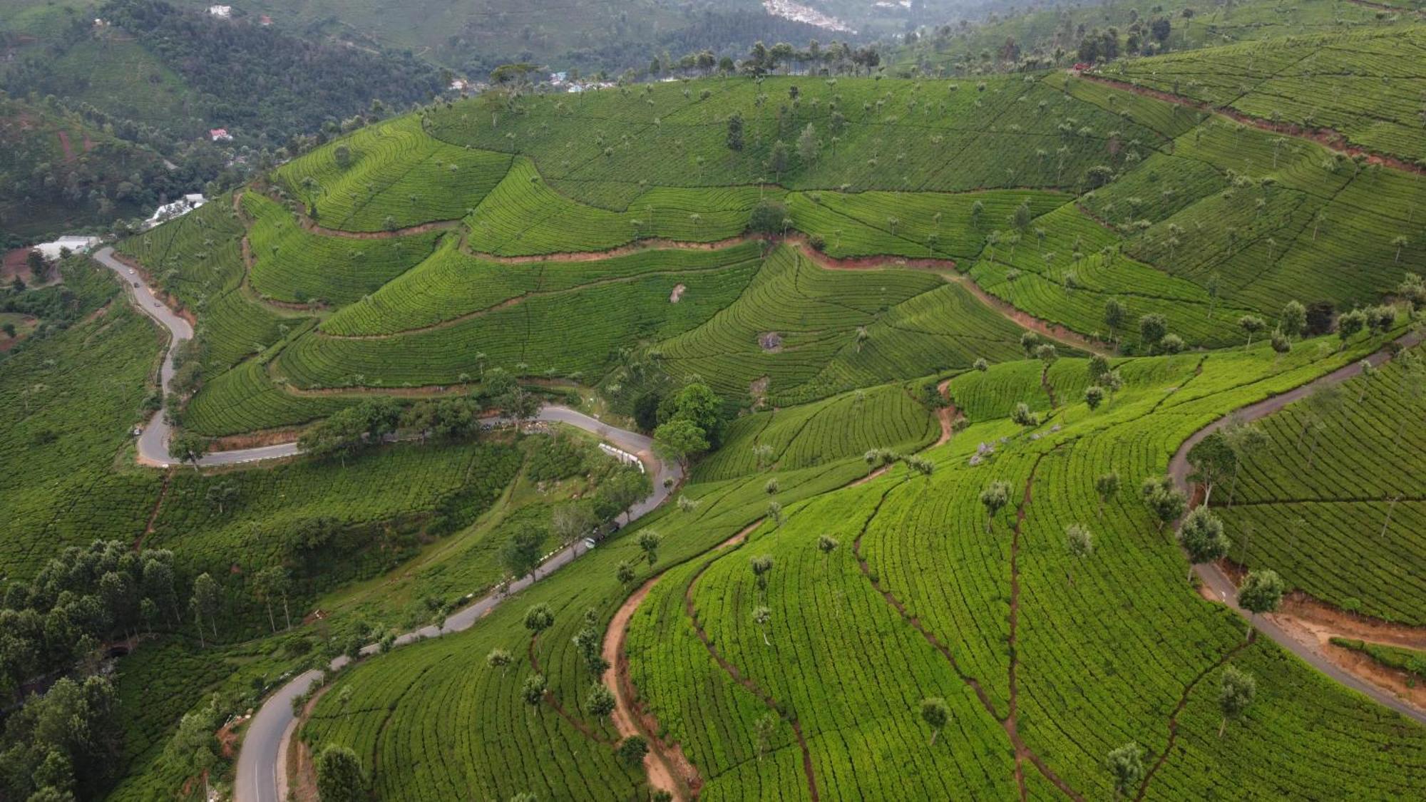 Casa De Selas Coonoor Luaran gambar